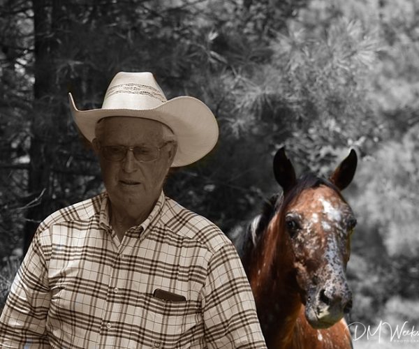 Rickman Spanish Mustangs, Colonial Spanish Horses, Southeast Oklahoma, Oklahoma Heritage Horses, Blackjack Mountain, Gilbert Jones